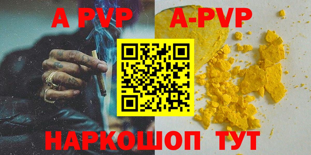 Alfa_PVP СК Курчалой