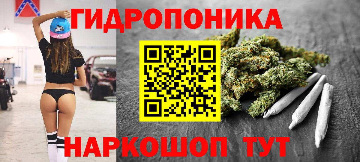 Канабис тримм Курчалой